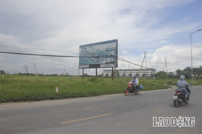 Những dự án bỏ hoang, um tùm cỏ mọc kéo dài hơn 10 năm.