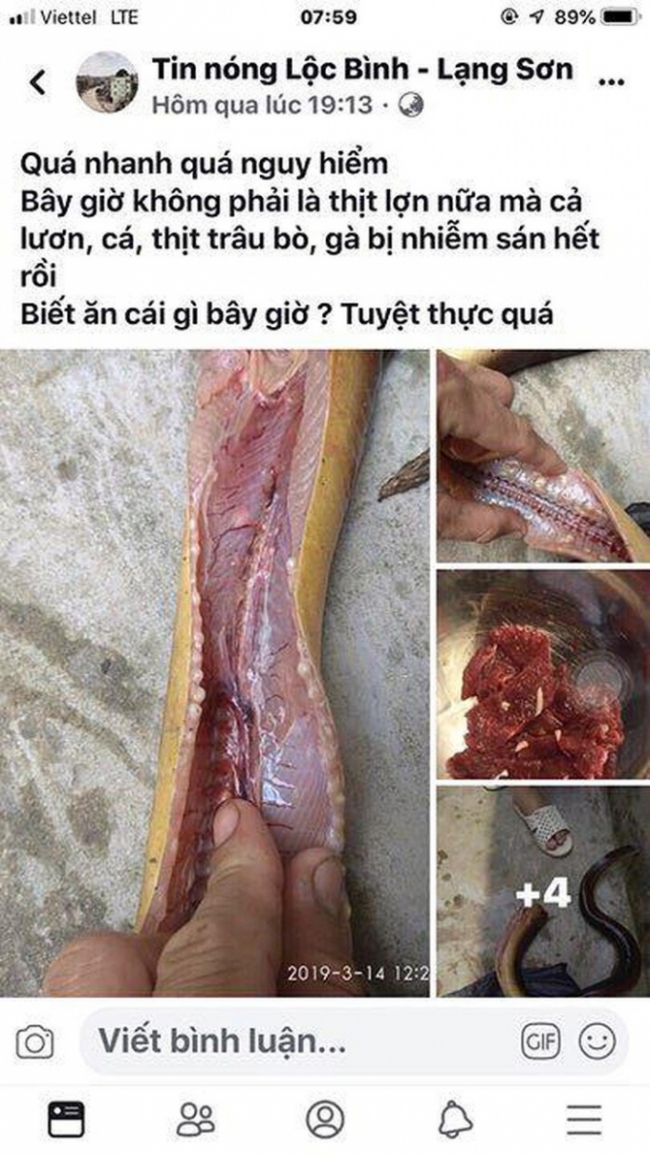Thông tin sai trái gây hoang mang dư luận được cô T đăng lên mạng xã hội