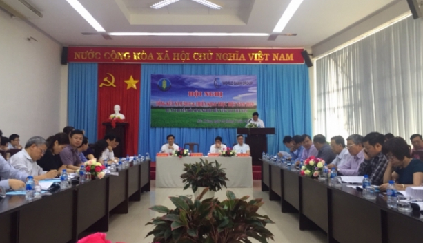 vnsat nhung vuon ca phe khong so han