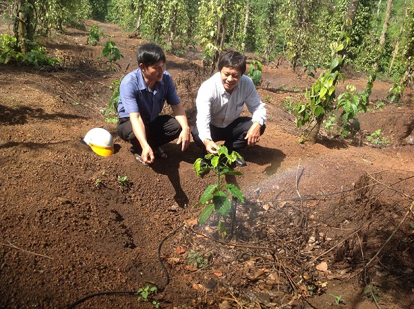 Ông Nguyễn Quốc Hoàn - Phó GĐ dự án VnSAT tỉnh Đắk Lắk (bên phải) cùng hộ nông dân được hỗ trợ.