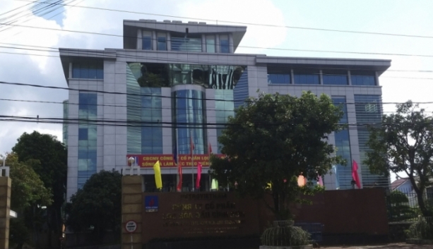 kiem toan nghi ngo kha nang hoat dong lien tuc cua cong ty con loc hoa dau binh son