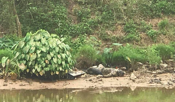 Hà Nội: Phát hiện thi thể đang phân hủy trên sông Nhuệ