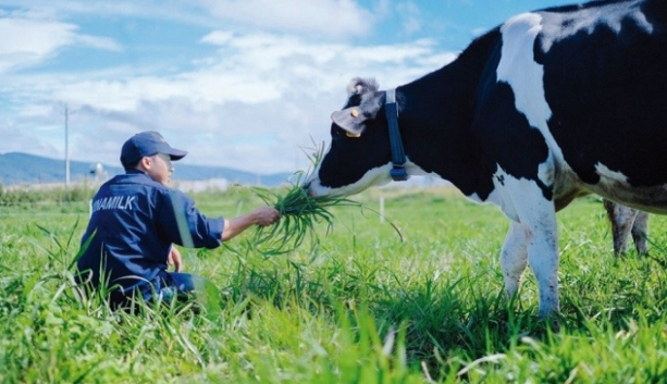 Thành viên HĐQT Công ty sở hữu Sữa Mộc Châu bất ngờ xin thôi chức