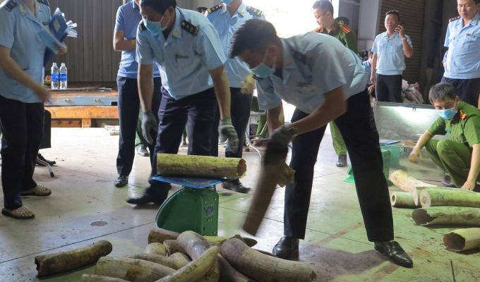 Đà Nẵng: Bắt giữ hơn 9,1 tấn hàng hóa nghi là ngà voi