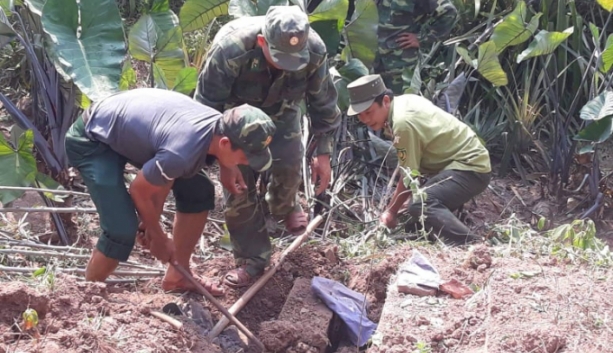 phat hien kho go mun trong vung dem vuon quoc gia phong nha ke bang