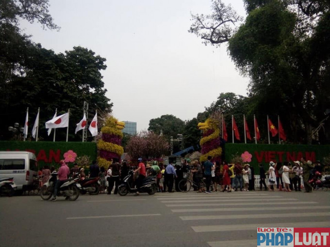 Lễ hội hoa anh đào diễn ra trong vòng 3 ngày, tuy nhiên ngay từ khi chưa khai mạc lễ hội đã thu hút được nhiều du khách đến tham quan, thưởng lãm hoa.