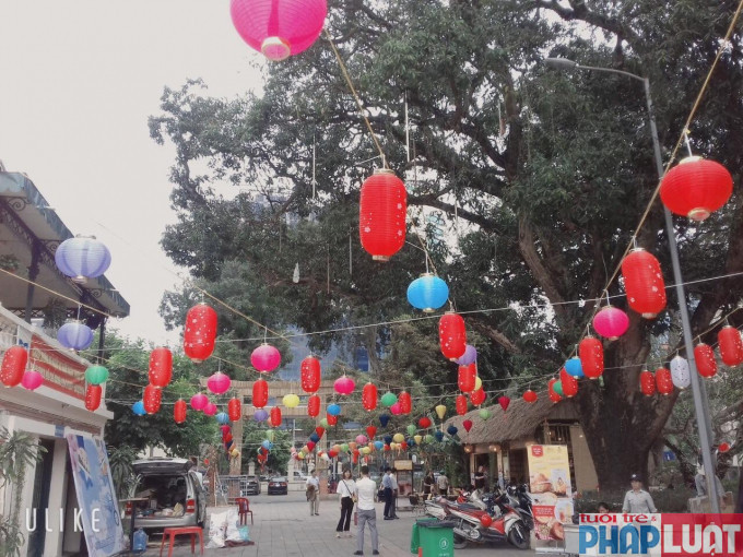 Đây là năm thứ tư thành phố Hà Nội và Đại sứ quán Nhật Bản tại Việt Nam tổ chức Lễ hội hoa Anh đào ở Thủ đô Hà Nội. Tuy nhiên, lượg khách đổ về lễ hội năm nay tương đối đông so với các năm trước.