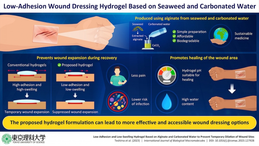 Trường Đại học Khoa học Tokyo (Nhật Bản) đã phát triển thành công một loại gel chữa lành vết thương làm từ rong biển và nước soda (Ảnh: Đại học Khoa học Tokyo)