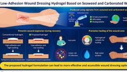 Gel chữa lành vết thương làm từ rong biển và nước soda