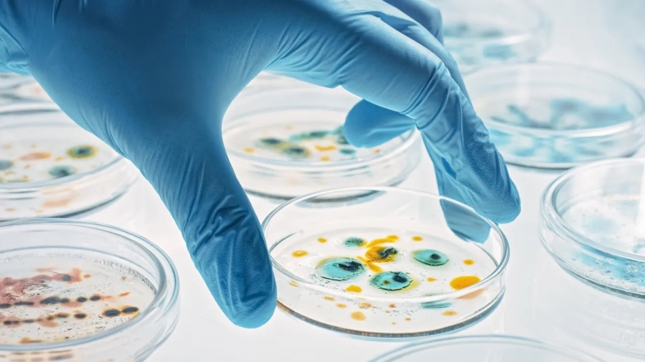 Kháng sinh mới có khả năng tiêu diệt vi khuẩn kháng thuốc mạnh