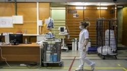 Cảnh báo gia tăng ca mắc bệnh liên quan đến đường hô hấp tại Châu Âu