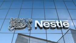 bo y te vao cuoc vu thu hoi sua nestle o nuoc ngoai