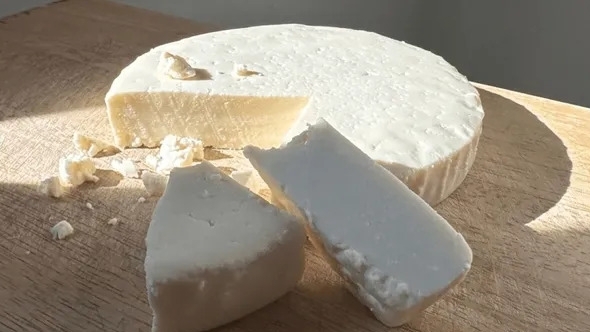 Cảnh báo nguy cơ nhiễm khuẩn E.coli từ phô mai tươi