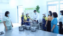 dinh chi hoat dong cac co so vi pham lien quan den thuc pham