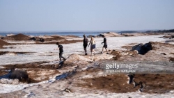 Thành phố băng giá trở thành thiên đường trong kỷ nguyên biến đổi khí hậu