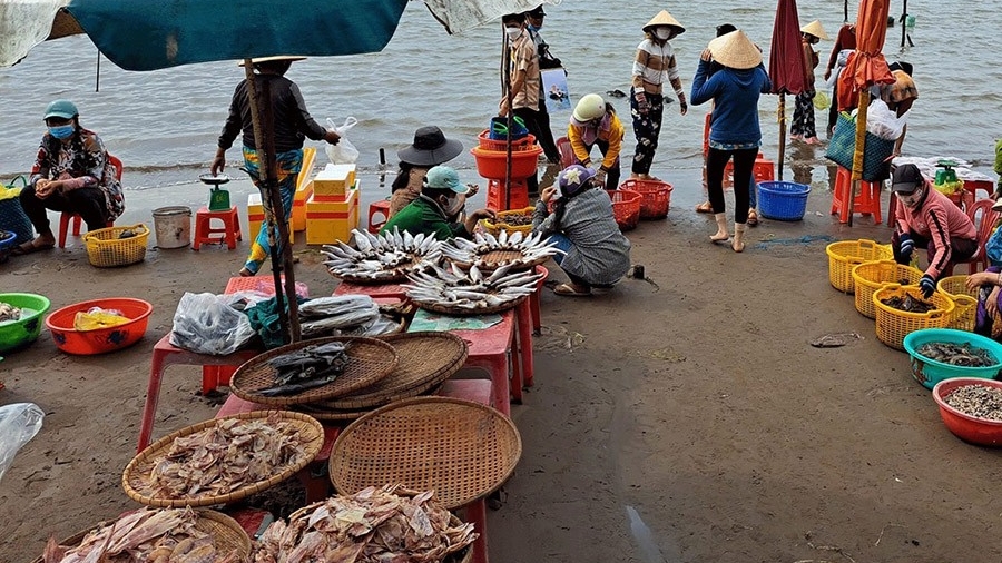 Đừng để ngộ độc hải sản trở thành nỗi lo mùa du lịch