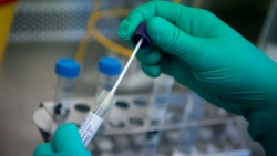 ha noi ca benh sot xuat huyet soi tay chan mieng giam