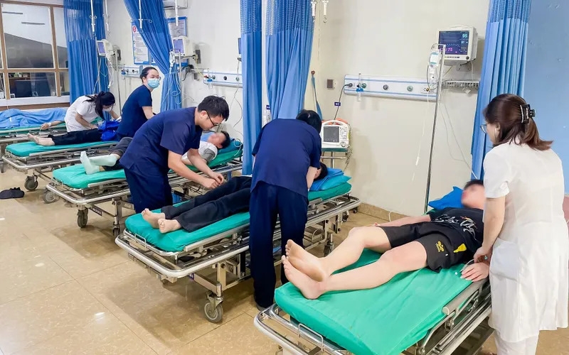  4 học sinh lớp 8 bị ong đốt nhiều mũi, phải nhập viện cấp cứu.