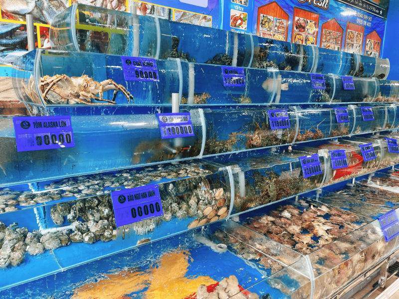 Phòng chống ngộ độc hải sản khi đi biển dịp hè