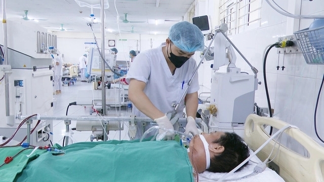 Nguy kịch vì ăn thịt lợn chết