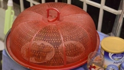 Thực phẩm để qua đêm: Nên hay không?