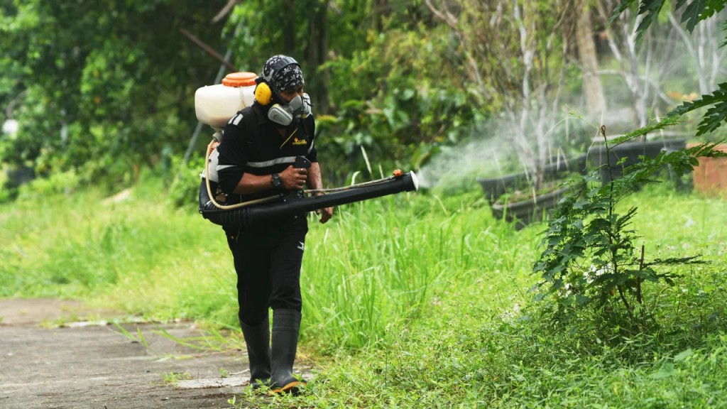 Muỗi “bùng nổ dân số” do biến đổi khí hậu