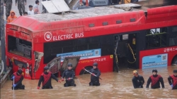 bai hoc tu tham kich ngap ham chui o han quoc