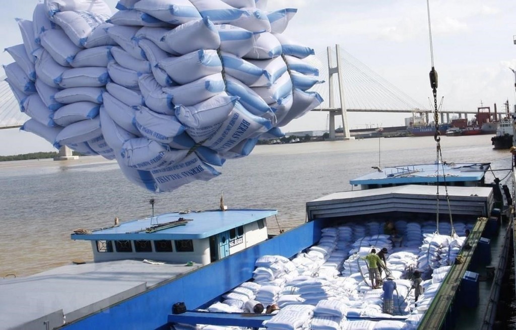 Ấn Độ cấm xuất khẩu gạo, giá lương thực toàn cầu có thể tăng cao