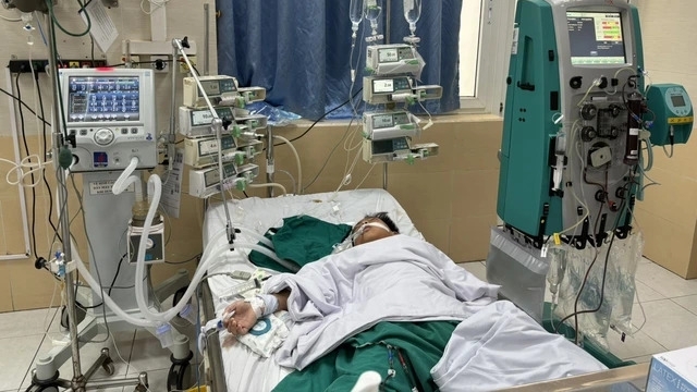 Áp dụng lọc máu liên tục để cứu sống bệnh nhi sốc nhiễm khuẩn