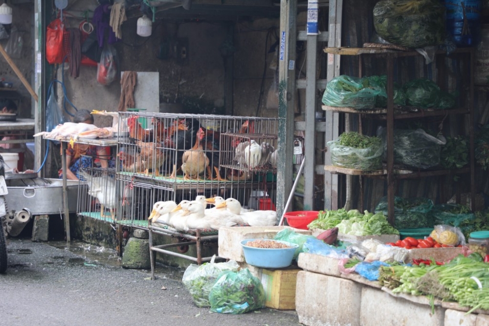 Nỗi lo mất an toàn thực phẩm từ các chợ dân sinh