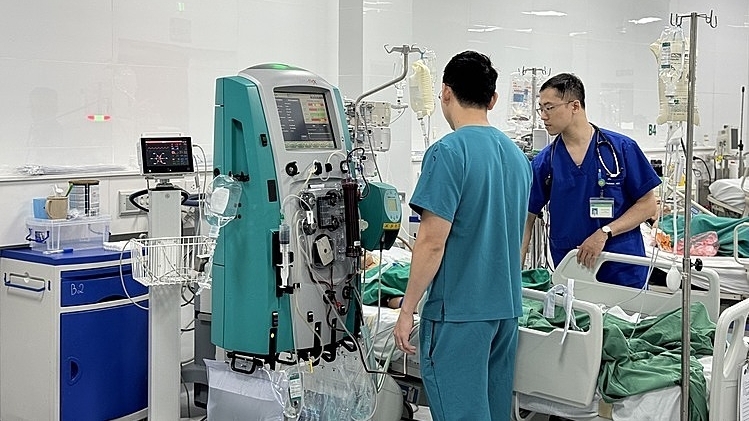 Bé gái 13 tuổi sốc phản vệ sau khi bị ong đốt