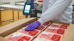 Dự án bò thịt “nghìn tỷ”, hướng mục tiêu xuất khẩu thịt bò “Made in Vietnam”