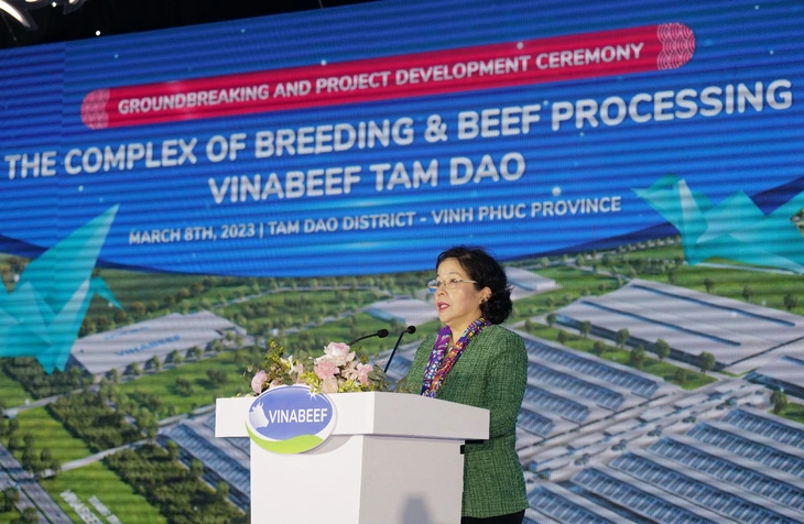 Dự án bò thịt “nghìn tỷ”, hướng mục tiêu xuất khẩu thịt bò “Made in Vietnam”