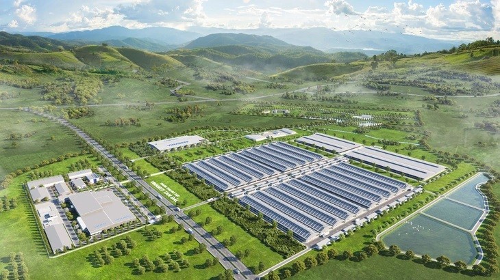 Dự án bò thịt “nghìn tỷ”, hướng mục tiêu xuất khẩu thịt bò “Made in Vietnam”