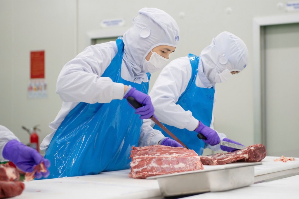 Dự án bò thịt “nghìn tỷ”, hướng mục tiêu xuất khẩu thịt bò “Made in Vietnam”