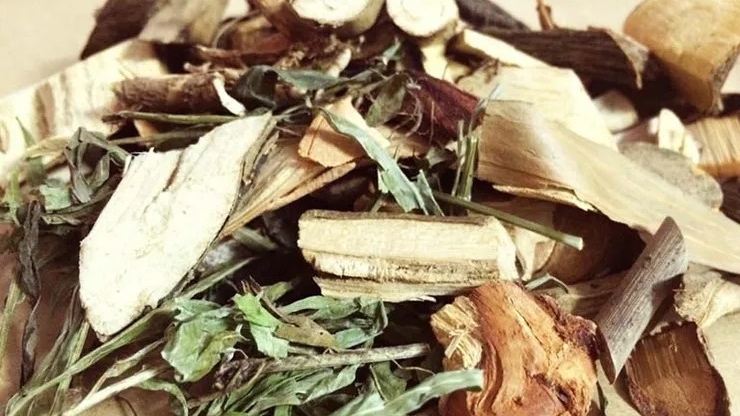 Suy thận nặng do tự ý dùng thuốc nam