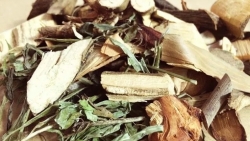 suy than nang do tu y dung thuoc nam