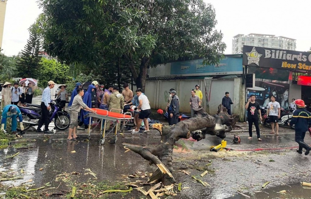 Bão số 3 sắp vào đất liền, Bộ Y tế yêu cầu sẵn sàng các tình huống khám, chữa bệnh trong thiên tai, thảm họa