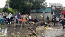 bao dam nhan luc thuoc hoa chat thiet bi y te trong va sau bao so 3