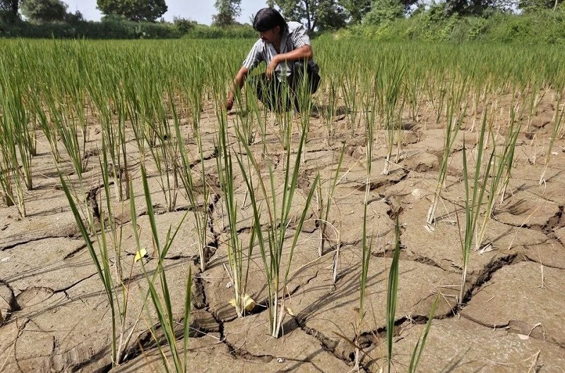 El Nino tác động đến thế giới như thế nào?