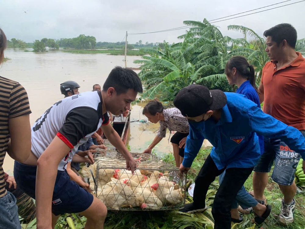 ở nhiều địa phương đã gây các thiệt hại về người, tài sản và ảnh hưởng lớn đến sức khỏe và đời sống của người dân.