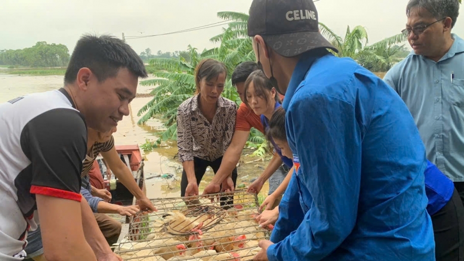 Cảnh giác ngộ độc thực phẩm tấn công sau mưa bão