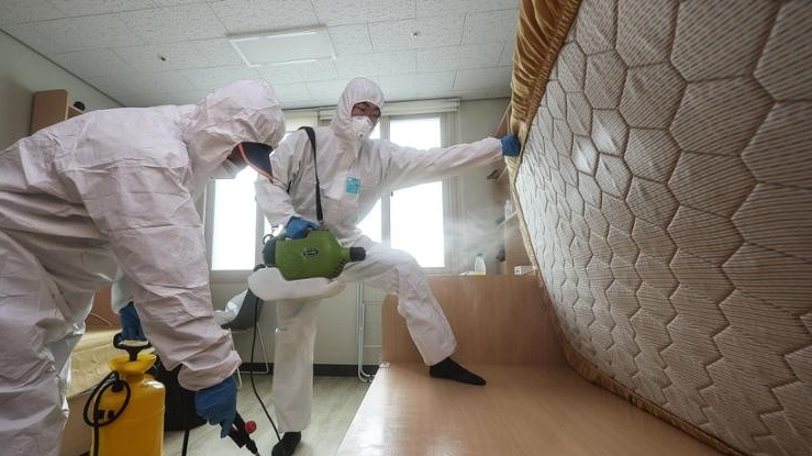 Thêm quốc gia đau đầu vì rệp hoành hành