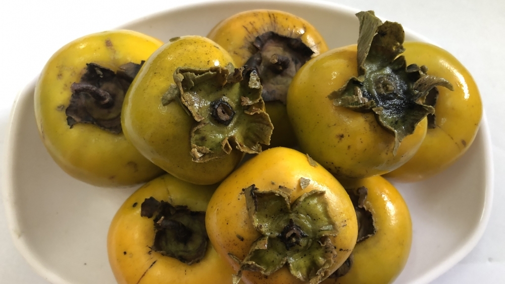 Tắc ruột do ăn 3 quả hồng ngâm