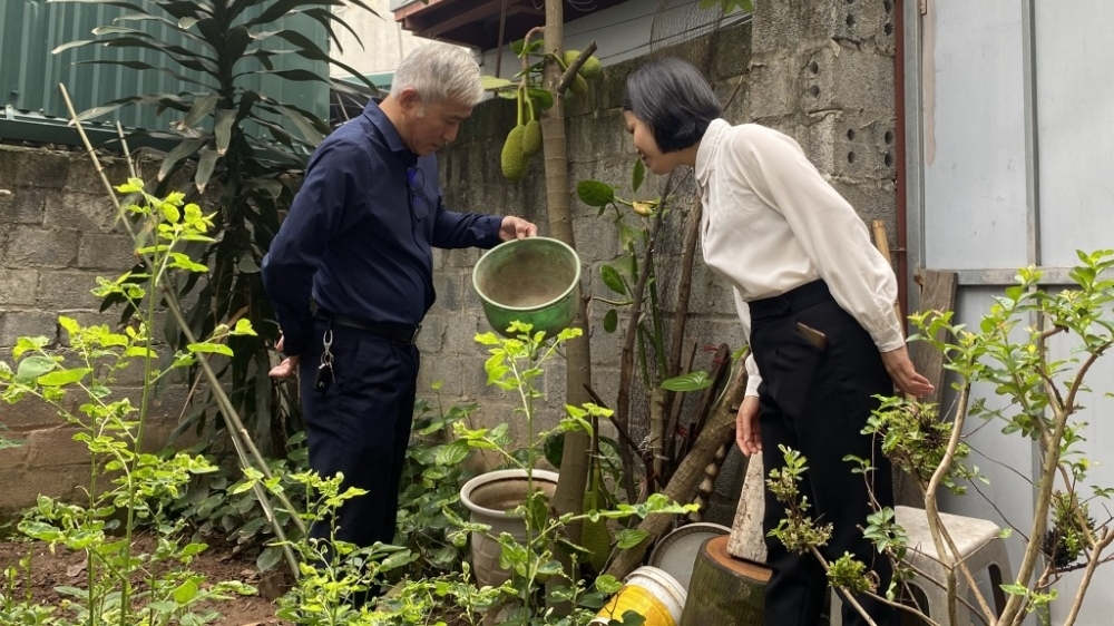 Hà Nội đã qua đỉnh dịch sốt xuất huyết