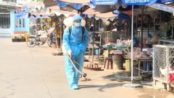 Đề phòng cúm gia cầm xâm nhập Việt Nam, lây nhiễm sang người