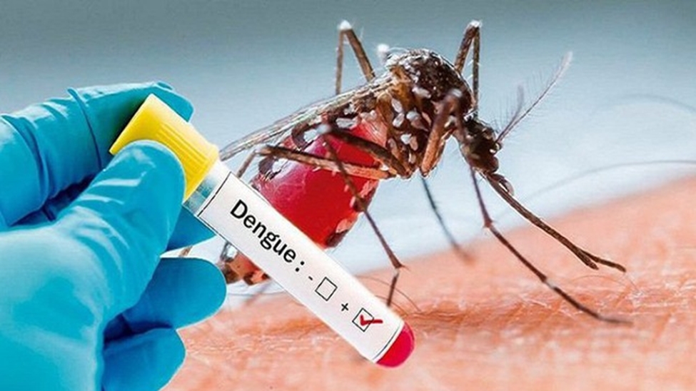 Sốt xuất huyết xuất hiện tại các nước chưa từng bị ảnh hưởng trước đây
