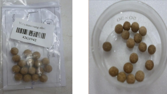 Nhập viện vì dùng thuốc trị tiểu đường gia truyền