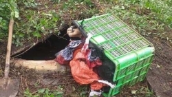 Thanh Hóa: Giết chủ nợ rồi phi tang xác vào bể Biogas