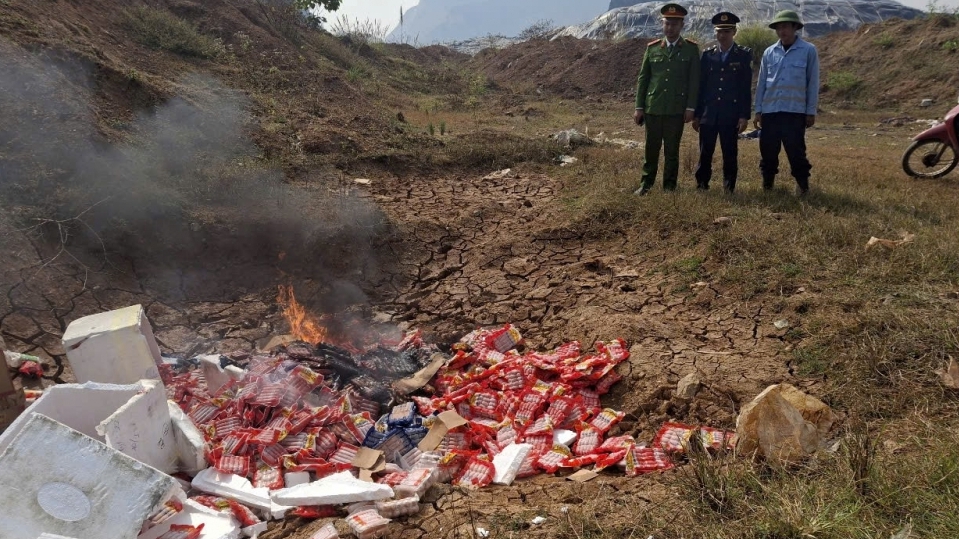 Thanh Hoá: Tiêu huỷ gần 1,8 tấn thực phẩm không rõ nguồn gốc